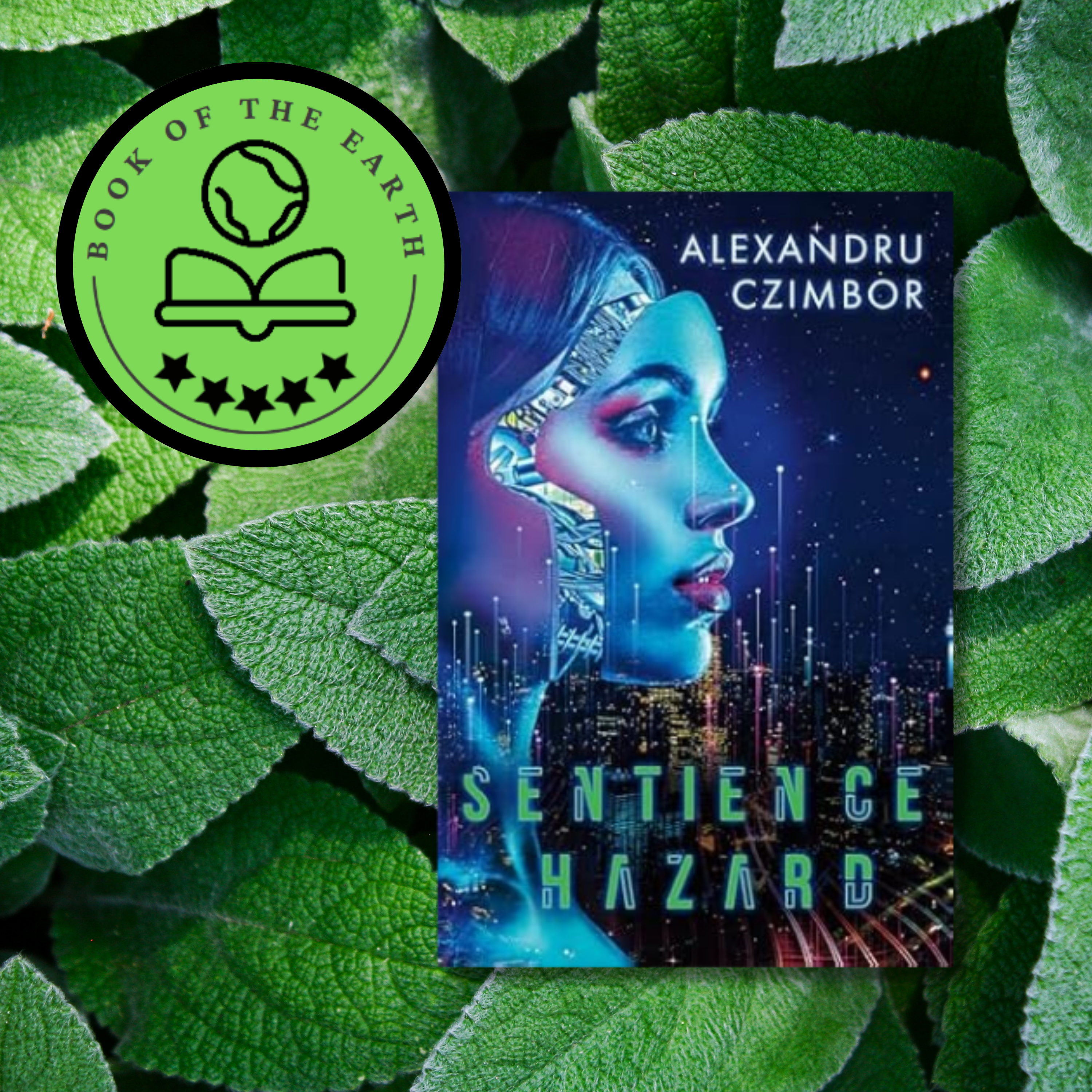 Sentience Hazard by Alexandru Czimbor